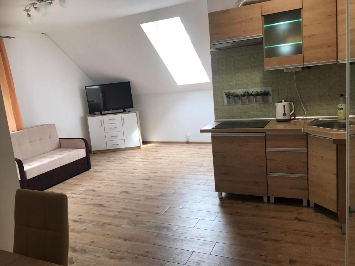 Apartament Mazurski Rodowo ソルクフィティ エクステリア 写真
